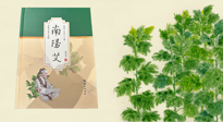 【行業(yè)資訊】國(guó)內(nèi)首部艾草專(zhuān)著《南陽(yáng)艾》，在南陽(yáng)新書(shū)首發(fā)！