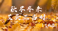 【健康/艾灸】秋盡冬來，艾灸正當(dāng)時(shí)——解鎖季節(jié)交替的養(yǎng)生密碼！