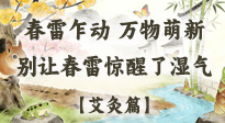【二十四節(jié)氣灸】春雷驚醒濕氣！驚蟄艾灸3穴，疏肝祛濕養(yǎng)元氣！
